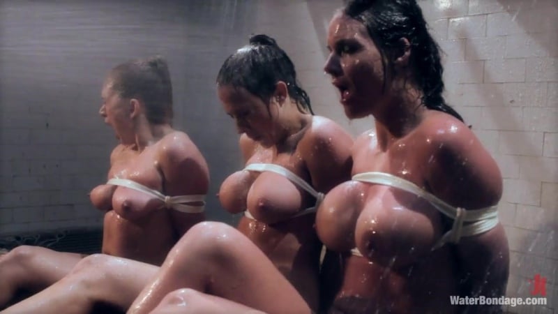 芭比·斯塔尔、菲尼克斯·玛丽、莉亚·莱克西斯、香奈儿·普雷斯顿（色情之家）