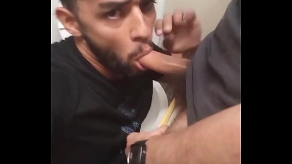 Selvagem Jovem se diverte