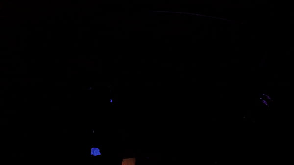 Wild blowjob Teen Girl