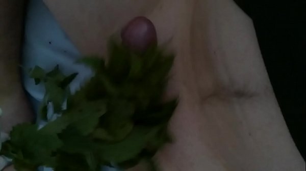 Erstaunlich leidenschaftlicher Teenager hat Spaß